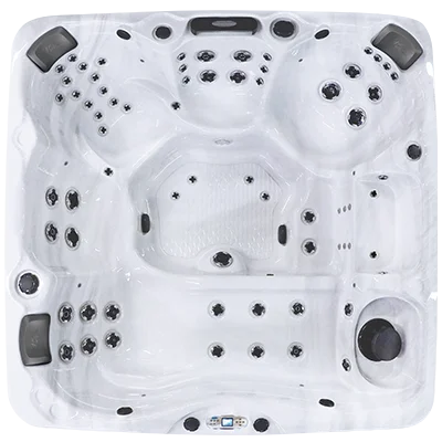 Avalon EC-867L hot tubs for sale in Syracuse